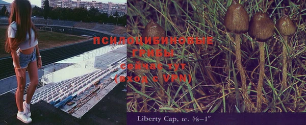 прущий лед Алзамай