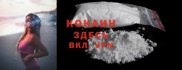 прущий лед Алзамай