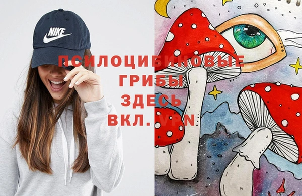 дмт Алексин
