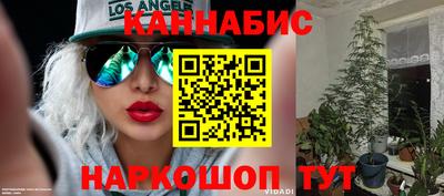 прущие крисы Свободный