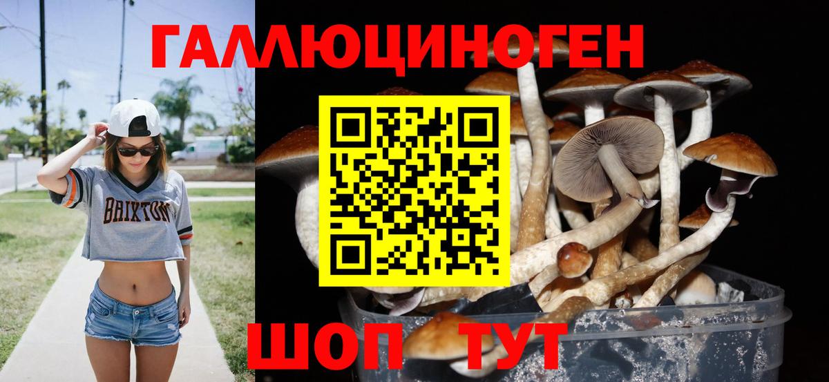 Нарьян-Мар  Галлюциногенные грибы Psilocybe  Вход с VPN 